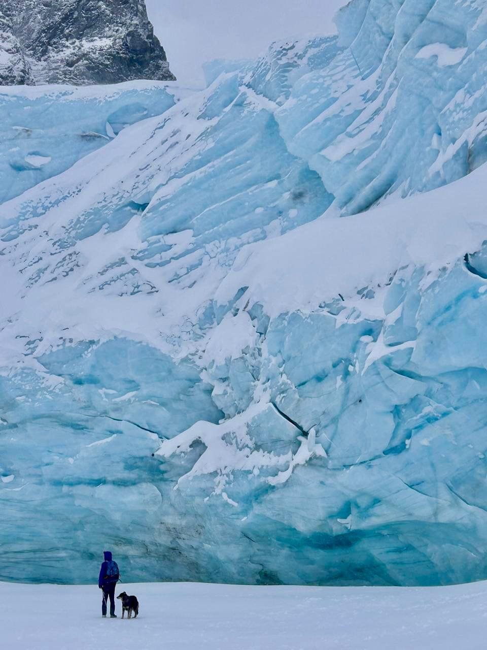 Persona y su perro sobre la laguna congelada del Glaciar Ojo del Albino en Ushuaia, con el imponente glaciar de fondo.