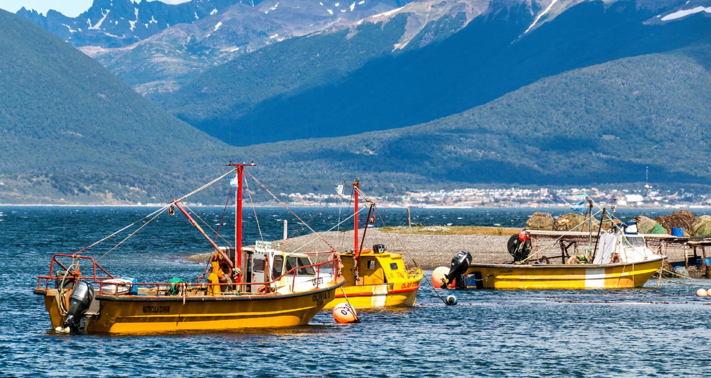 Embarcaciones pesqueras amarillas flotando en las aguas del Canal Beagle, con montañas verdes al fondo en Puerto Almanza.