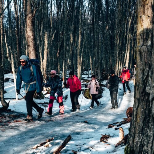 Excursionistas guiados por Marcelo Vaca de VERTICE avanzando por un sendero con hielo entre árboles de lenga hacia Laguna Esmeralda Ushuaia