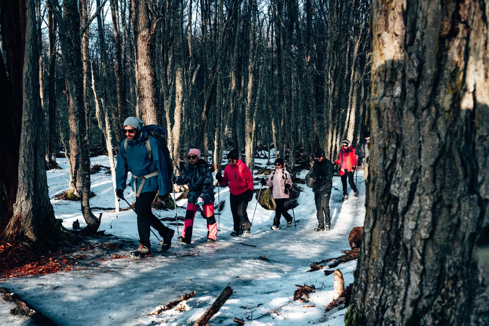 Excursionistas guiados por Marcelo Vaca de VERTICE avanzando por un sendero con hielo entre árboles de lenga hacia Laguna Esmeralda Ushuaia